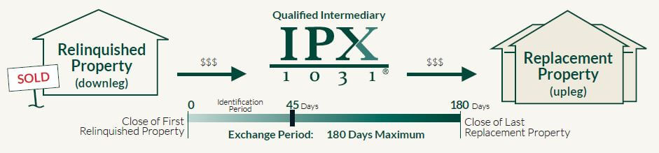 IPX1031 what is a exchange infographic